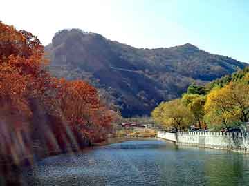 澳门天天彩期期精准平肖，四川防锈纸